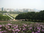 RIMG0055