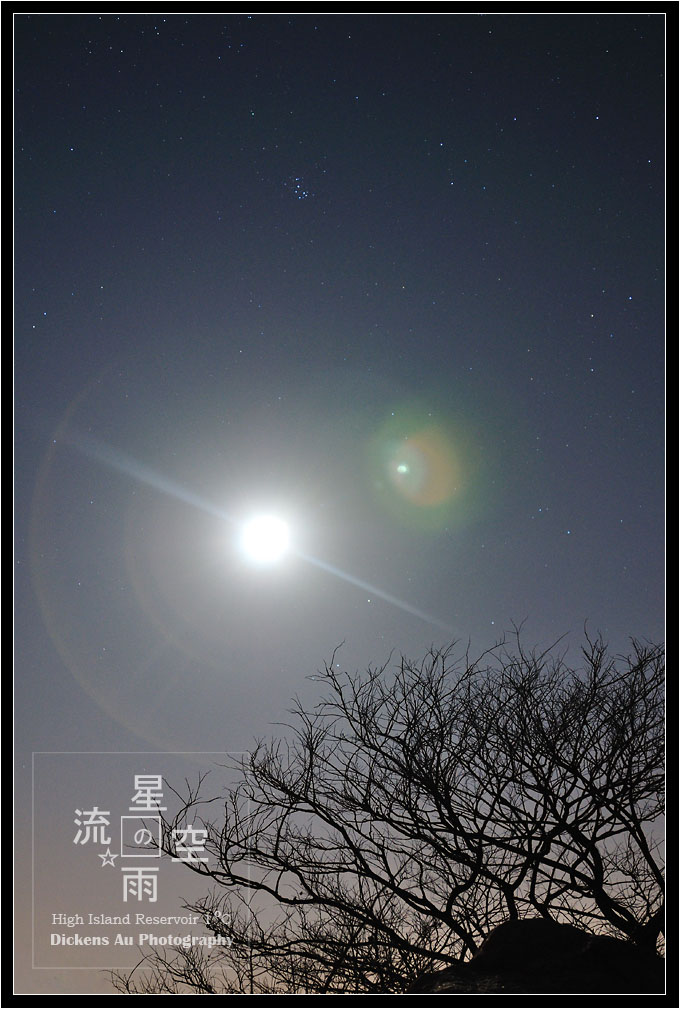 圖檔