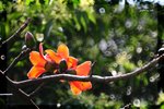 RS - DSC_2880