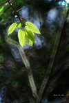 RS - DSC_2907