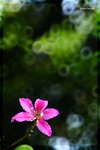 RS - DSC_2912