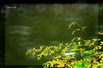RS - DSC_2917