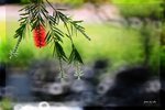 RS - DSC_2926