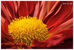 RESIZE - DSC_0813