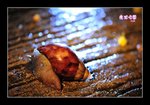 RS - DSC_4119