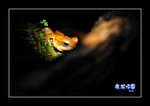 RS - DSC_4147
