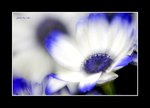 RS - DSC_1062