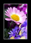 RS - DSC_1085
