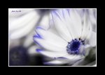 RS - DSC_1093