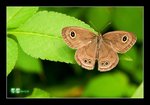RS- DSC_4745