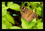 RS - DSC_4748