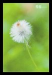 RS - DSC_4756