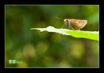 RS - DSC_4759
