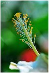 RS - DSC_1710A