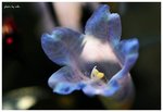 RS - DSC_1718A
