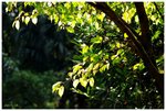 RS - DSC_2073
