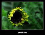 RS - DSC_3029