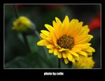 RS - DSC_3052