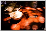 RS - DSC_5547