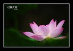 RS - DSC_3457