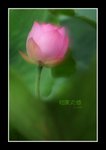 RS - DSC_3471