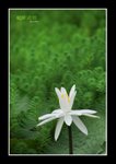 RS - DSC_3479