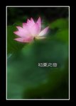 RS - DSC_3490
