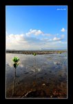 RS - DSC_7323