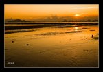 RS - DSC_7357