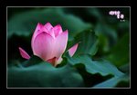 RS - DSC_6575