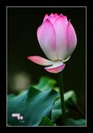 RS - DSC_6581