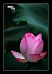 RS - DSC_6583