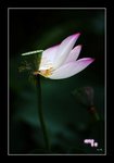 RS - DSC_6593