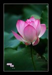 RS - DSC_6595
