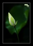 RS - DSC_6606