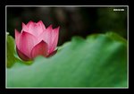 RS - DSC_4047