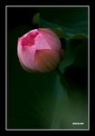 RS - DSC_4074