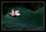 RS - DSC_4090
