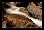 RS - DSC_8633