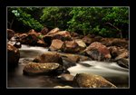RS - DSC_8636A