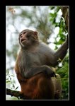 RS - DSC_8672