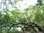 DSC05679