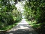 DSC05681