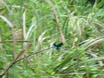 DSC05687