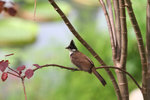 IMG_5329f