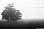 IMG_3478