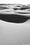 IMG_4532