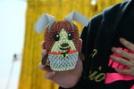 IMG_4434
