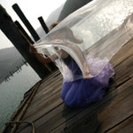 20060203 E & E Sunny Bay (282)