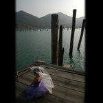 20060203 E & E Sunny Bay (295)